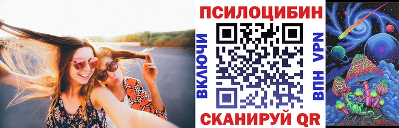 hydra ССЫЛКА Гурьевск Псилоцибиновые грибы Magic Shrooms