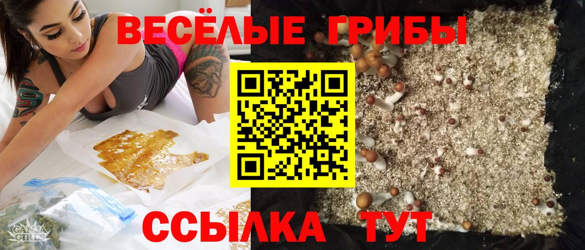 Галлюциногенные грибы прущие грибы  магазин продажи   Вход с VPN  Гурьевск  Псилоцибиновые грибы Magic Shrooms 