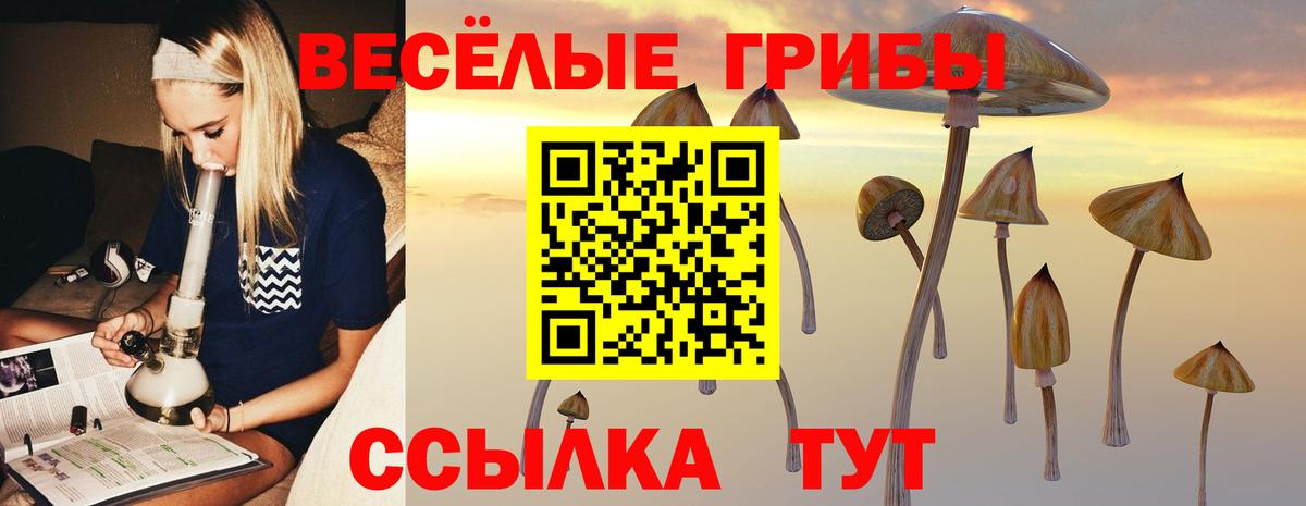 Галлюциногенные грибы Psilocybine cubensis Гурьевск